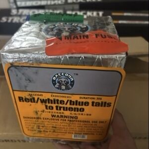 Red, White, and Blue Holiday String Lights